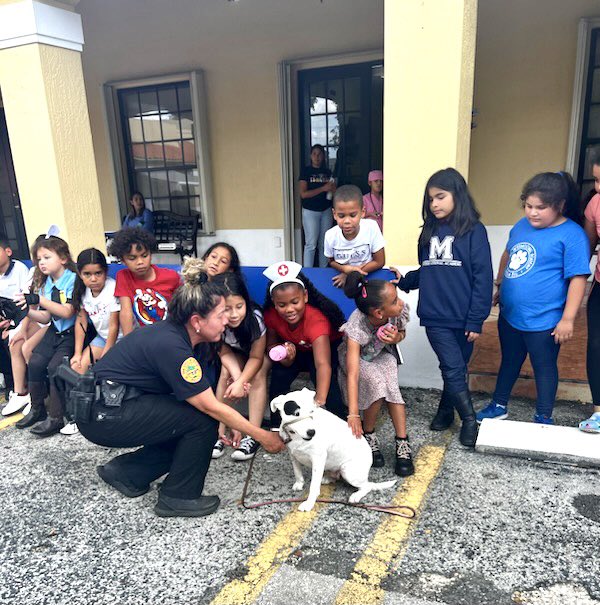 FrecklesMPD's tweet photo. careerday  #2023 at @MaterAcademy in #allapattah with #mpdk9 #mpdmountedpatrol #mpdbombsquad #mpdmotors #mfr @nro 🐾😘🐶🙌 https://t.co/qrpFOox0gC