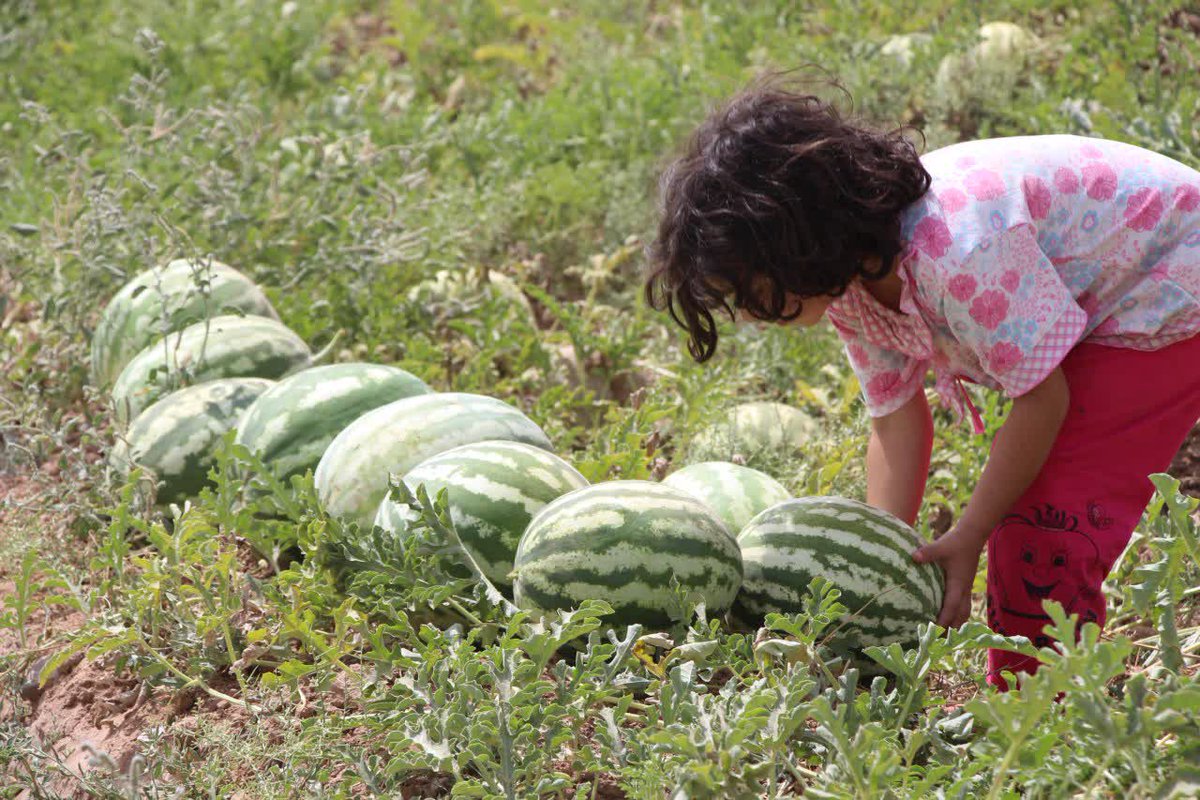 دختر #لبخند_خدا و #گل_بهشتی