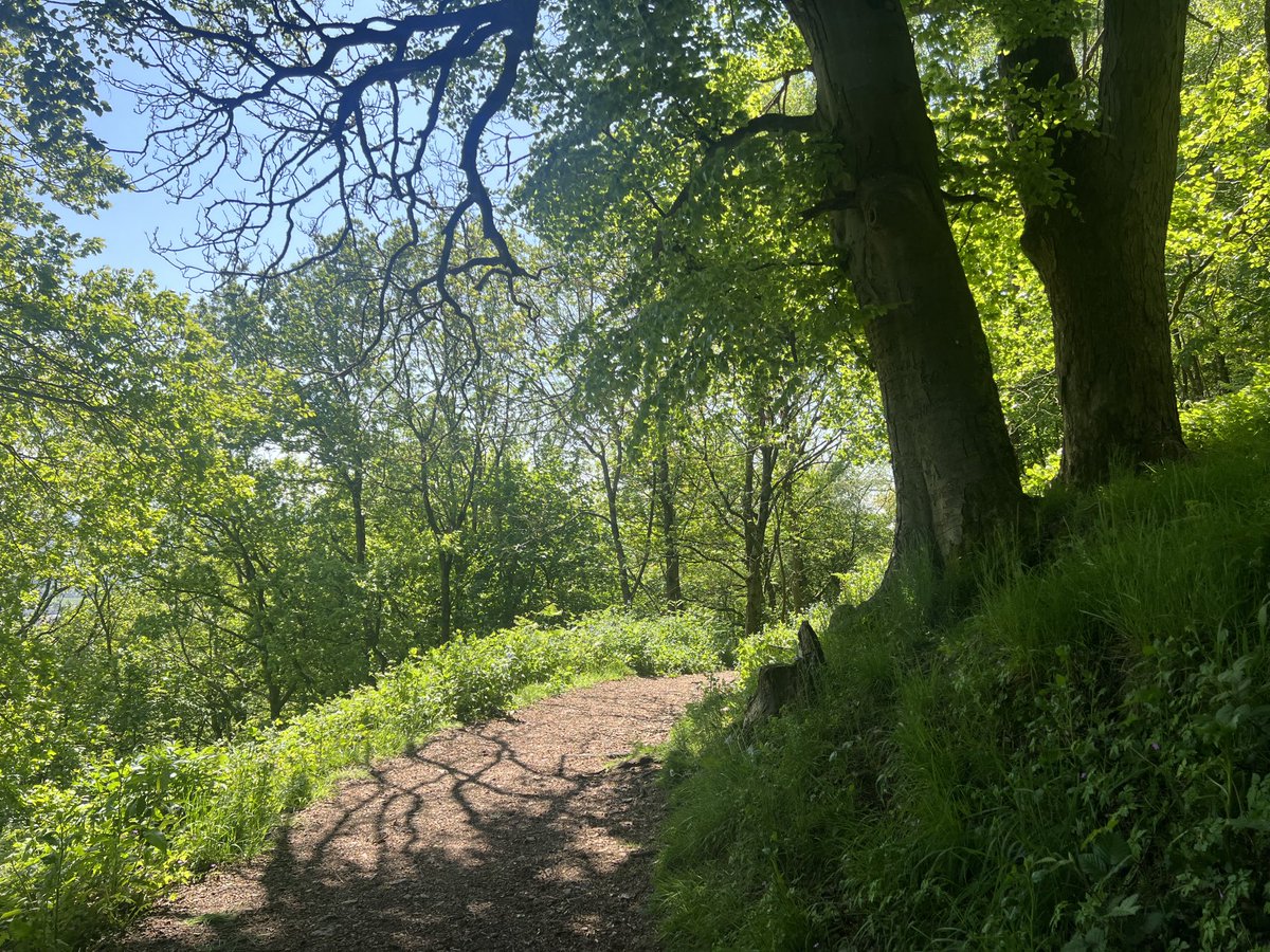JosieAllan4's tweet photo. Such a perfect day… ☀️🤩🎉🌱👍🏆🌞🌞🌞🌞🌞
#magicskies #MagicHill #MagicStar https://t.co/ymELgCFJ1k