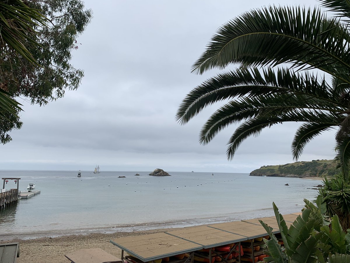 spacenaseem's tweet photo. Hello from @abgradcon Proposal Writing Retreat! Ferry trips to Catalina Island, bunking in Emerald Bay, hours of brainstorming and proposal writing and friendships to last a lifetime 😊 https://t.co/SuUTIKWKCh