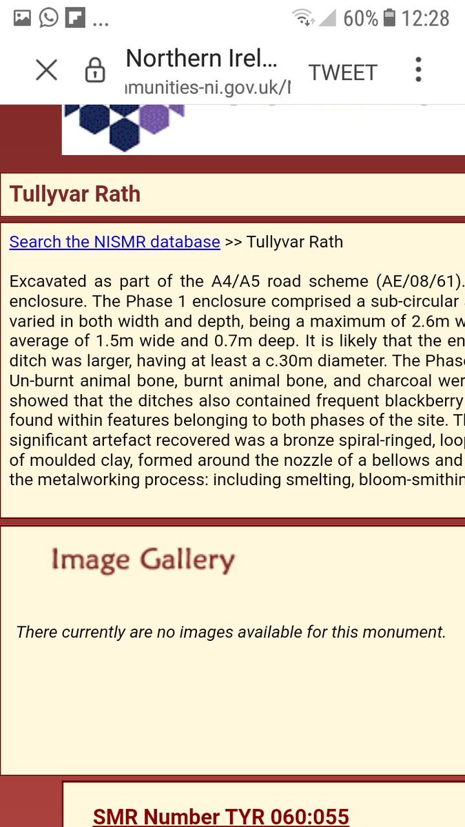 thatchertaggart's tweet image. I'm all for it, gave you my #1 vote due to your previous help in highlighting the ongoing loss of Irish built #Heritage ie Thatched #Scraw roofs being destroyed. Just hope the new road does not destroy anymore ancient Irish  #RingForts /#Raths