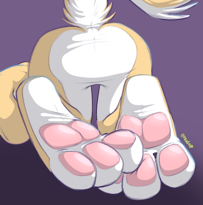 happy #pawday weirdos :)