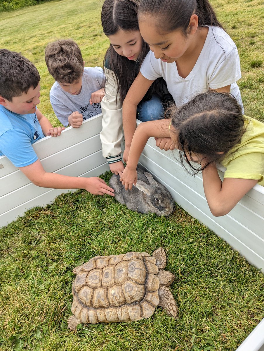 Antoinette Barley tweet media