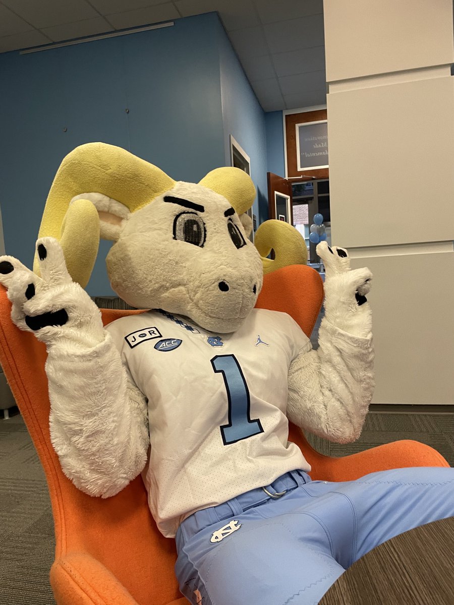 marne meredith tweet media