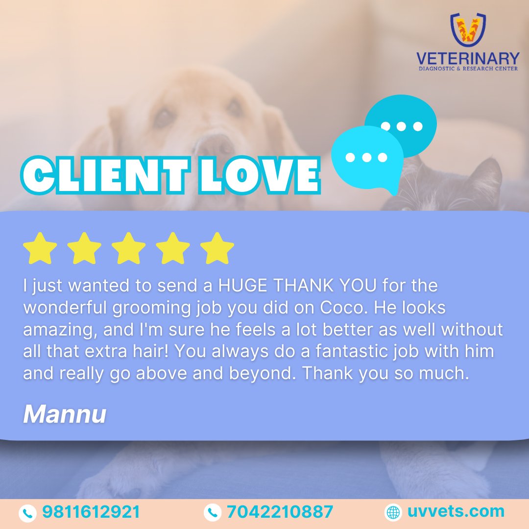 Thank you for sharing your positive experience with UV Vets. We are thrilled to hear that your furry friend was happy and comfortable under our service.

#uvvets #pets #vets #petservice #petservices #petproducts #pet #noidapets #petsnoida #testimonial #testimonials #happyclient