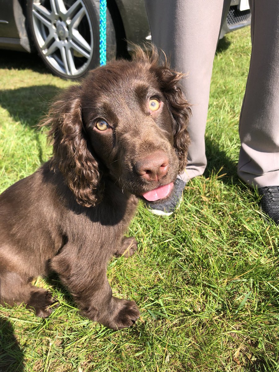 Purdey & Bramble & Jet OTRB 🌈 3/5/23 tweet media