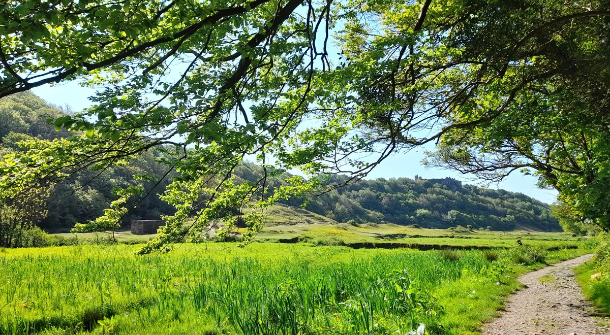 cocklewoman's tweet photo. How Green was my Valley
#Wales #Swansea #Gower #Parkmill https://t.co/AAPkkL07pg