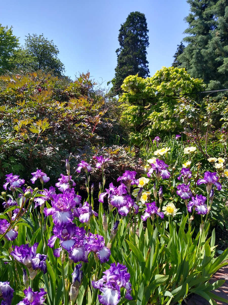 AndrewThynne's tweet photo. Loving Spetchley Park Gardens, Worcestershire. https://t.co/H7wemaGIIy