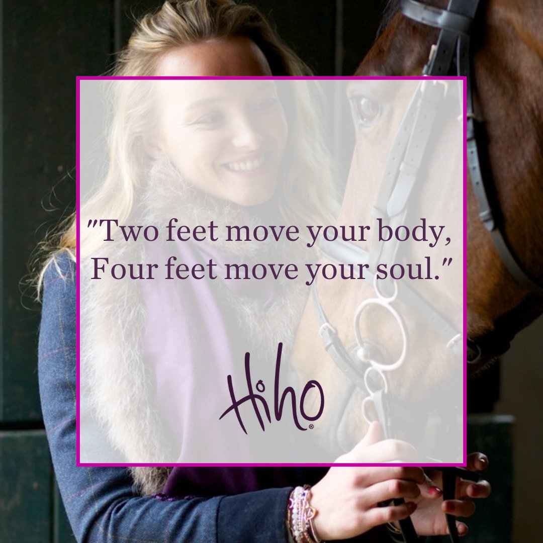 We still love this quote, even today...

Who else has a four legged friend which has completely changed your life?

#fourleggedfriend #inspiration #inspirationalquote #quoteoftheday #petquote