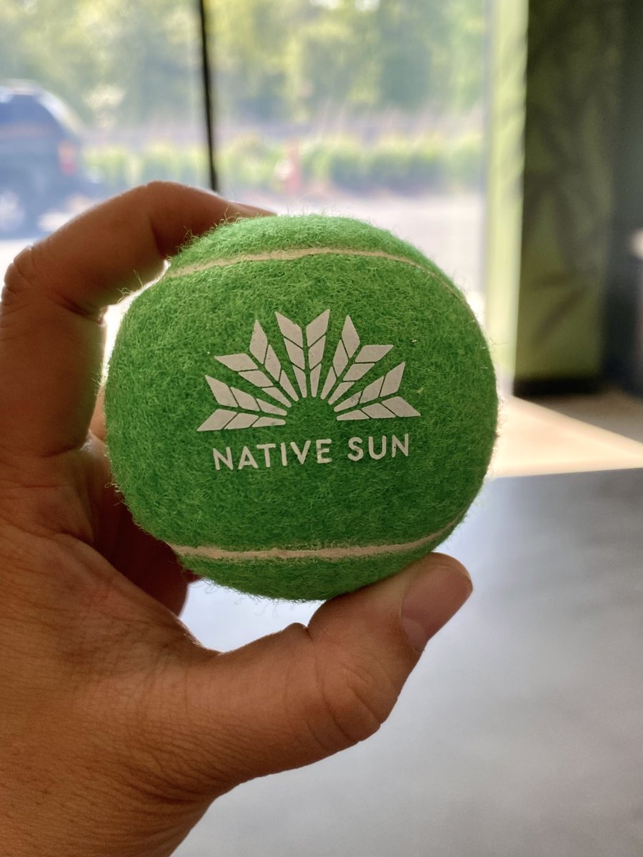 NativeSunMA's tweet photo. Today is all about human's best friend as we celebrate #NationalRescueDogDay at our stores 🐶 Grab a dog-safe tennis ball with any purchase and join us for our "pup-ups" with @WanaBrands and Dogwalkers Pre-Rolls 🐾 🎾 #cannabis #cannabiscommunity #nativesun #madispensary https://t.co/1c0zwaIDFl