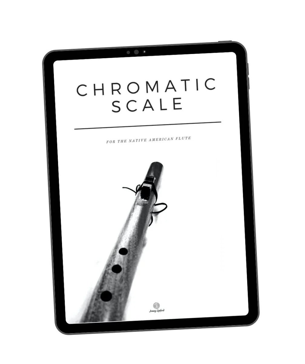 Chromatic Scale Sheet

Get it for free here: jonnylipfordmusic.com/pages/chromati…

#nativeamericanflute #may2023 #flautist #flutemusic #fluteworkshop #flutelove #fluteteacher #fluteplayer #soundtherapy #healingmusic #healingflute #meditationmusic #nativeinstruments #nativeamerican #native