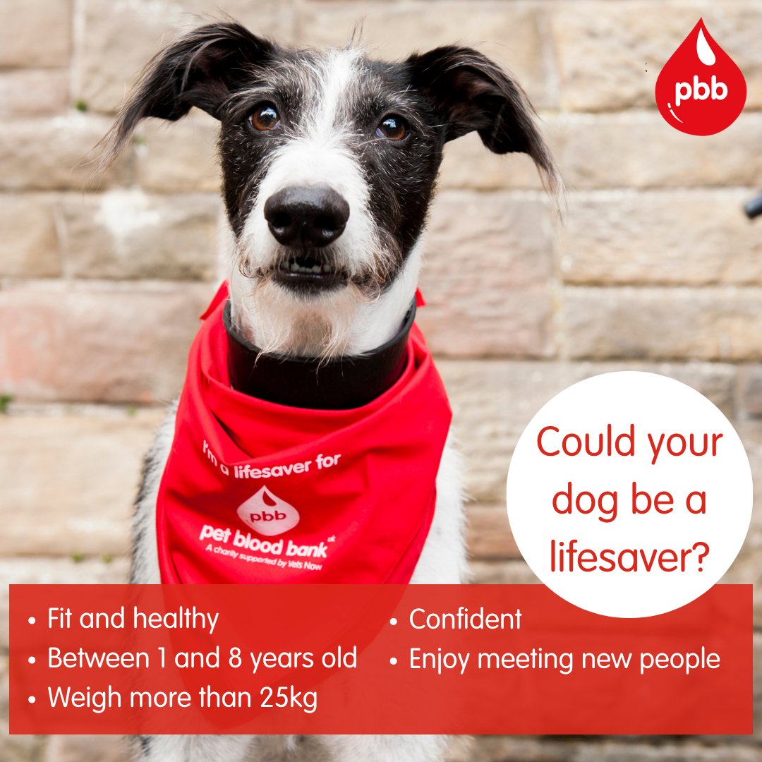 Could your dog help to save a life?  
@PetBloodBank  is running a donation session at our practice near #Godalming in #Surrey on Saturday 3rd June and has spaces available. Register your dog now at petbloodbankuk.org/dogs #donateblood