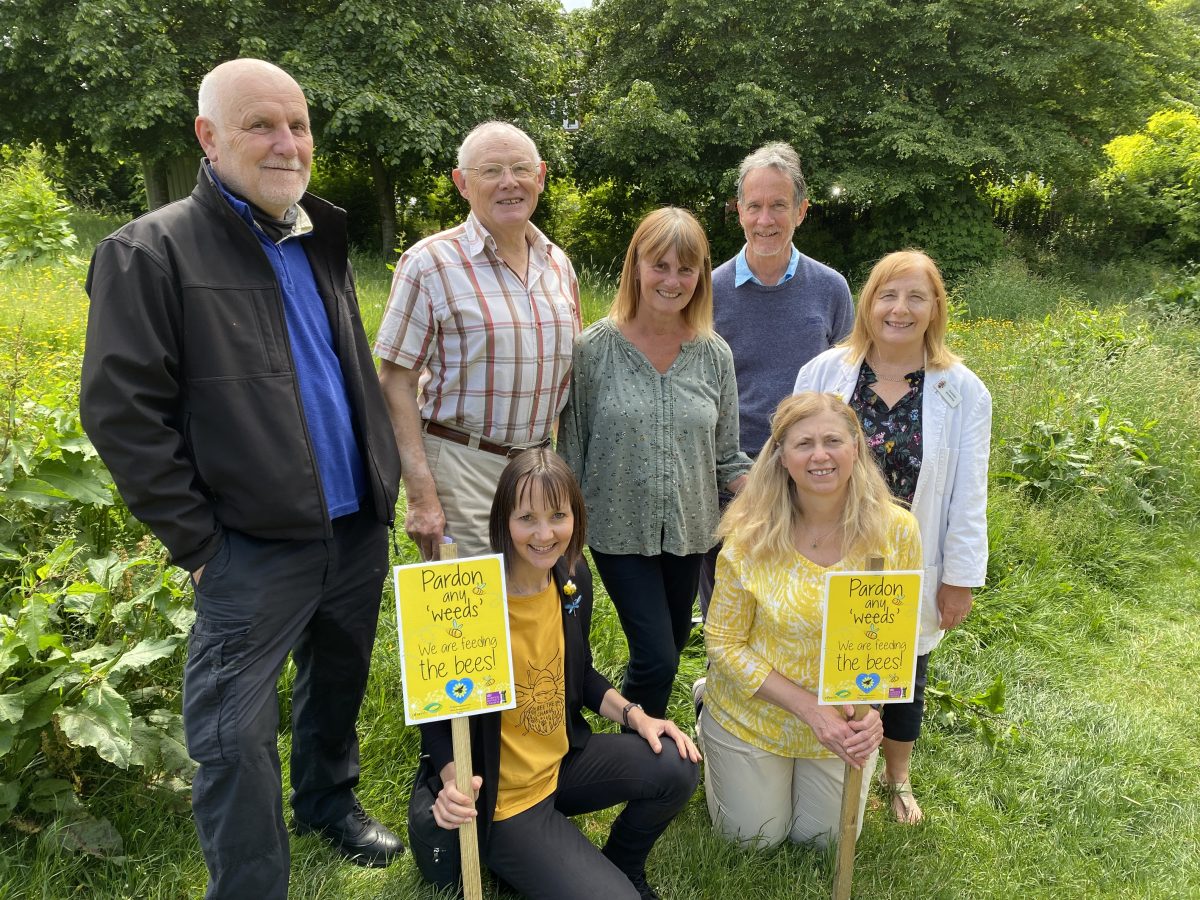 Warwick_DC's tweet photo. Our local Bee Friendly groups in Kenilworth, Leamington &amp; Warwick are this month's Climate Champions! 🐝🏆

There are a growing number of bee friendly groups in the District, all working to protect &amp; promote these vital pollinators.

Read their stories ⬇️

https://t.co/Utn9sI8Bxw https://t.co/eDYHeIhPiU