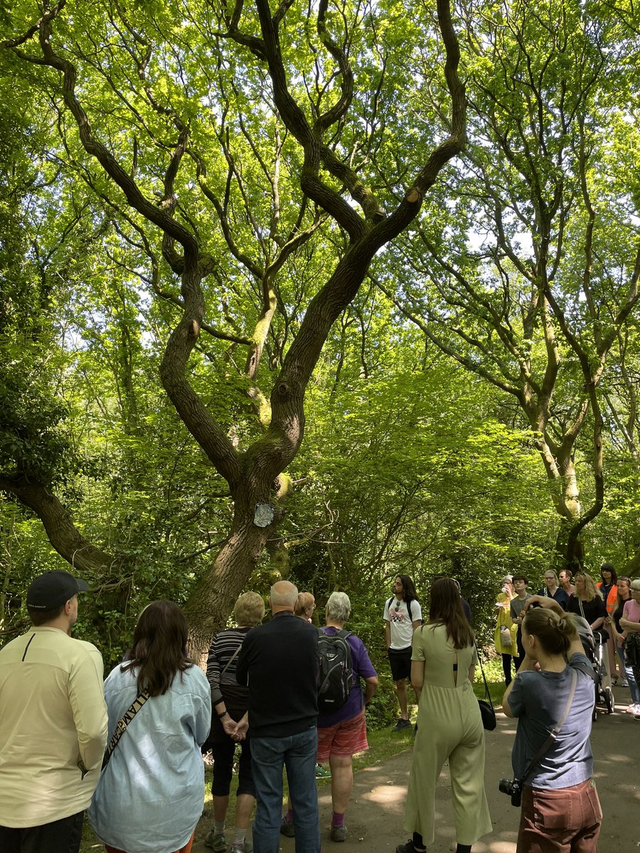 HeartofGlass tweet media