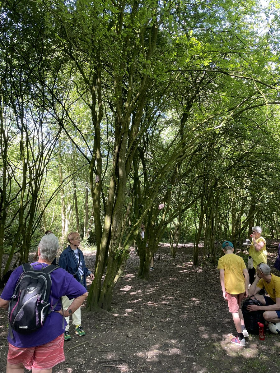 HeartofGlass tweet media