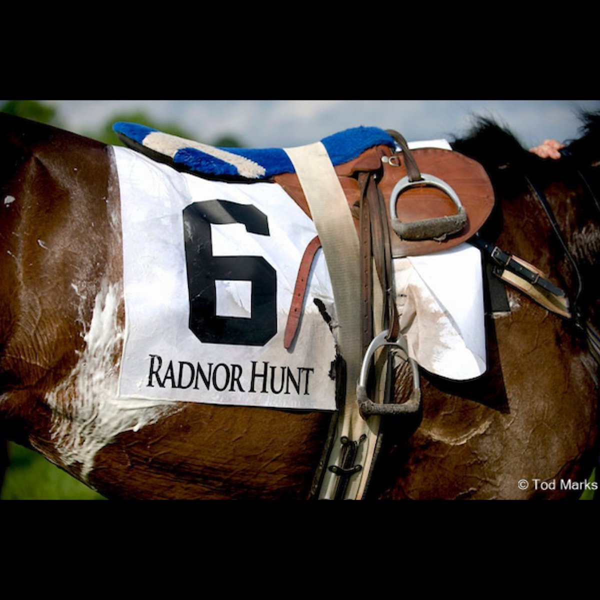 NSA (@jumpingwithnsa) on Twitter photo Good luck to all running at <a href="/RadnorHuntRaces/">Radnor Hunt Races</a> today!!
 🏆🐎🏆 Good luck to all running at <a href="/RadnorHuntRaces/">Radnor Hunt Races</a> today!!
 🏆🐎🏆