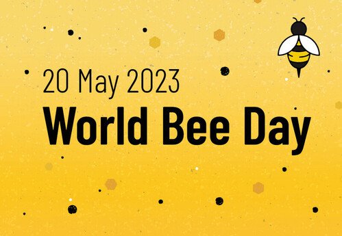 fliesandthings's tweet image. Happy World Bee Day! Did you know there are over 20 000 species of #bees, most of which are wild?🐝

To learn more about the importance of bees and bee research: fao.org/world-bee-day/…
#WorldBeeDay #entomology #conservation #scicomm #WomenInSTEM