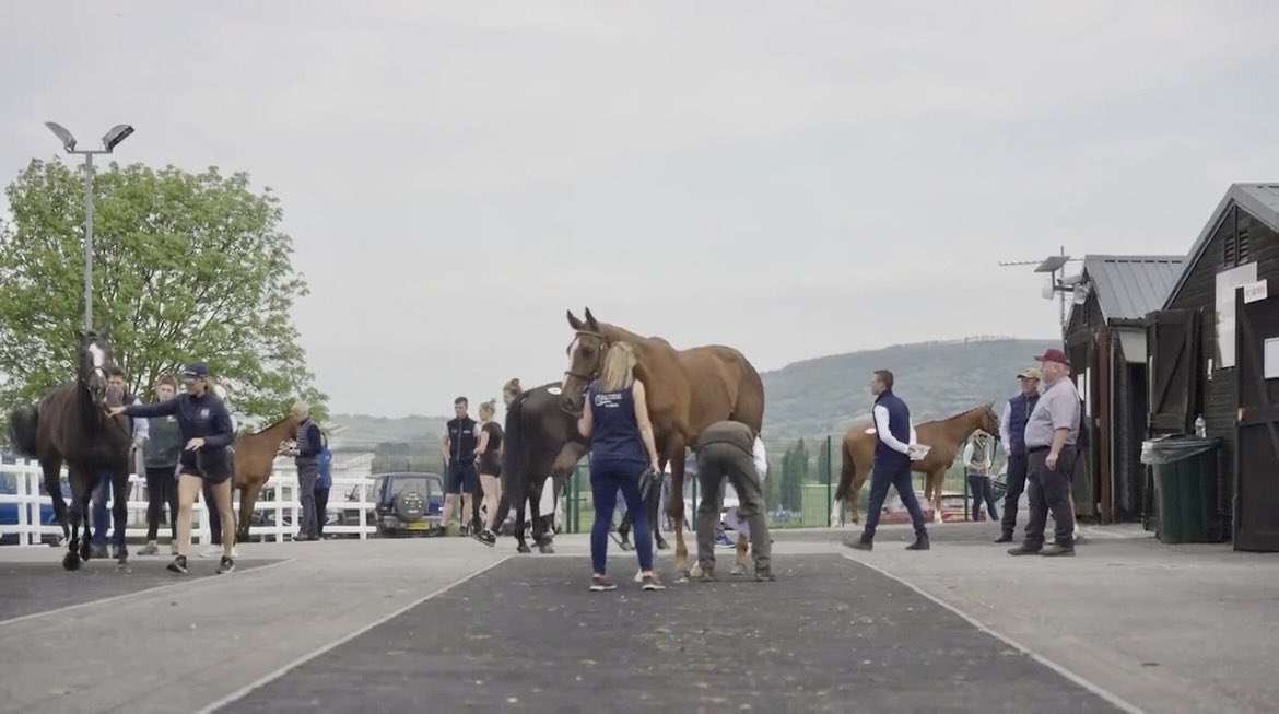 Claymore_Racing's tweet photo. ANNOUNCEMENT TO COME AT 5PM!

Claymore Racing have been at the Cheltenham May Sales on Thursday and Friday and we are glad to report that it was a success and the first Claymore Racing horse has been bought. Announcement to come at 5pm!

#ClaymoreRacing #AShareInTheWin https://t.co/yaIZvZxN0I