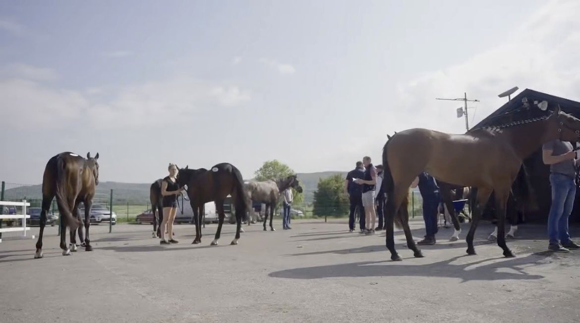 Claymore_Racing's tweet photo. ANNOUNCEMENT TO COME AT 5PM!

Claymore Racing have been at the Cheltenham May Sales on Thursday and Friday and we are glad to report that it was a success and the first Claymore Racing horse has been bought. Announcement to come at 5pm!

#ClaymoreRacing #AShareInTheWin https://t.co/yaIZvZxN0I