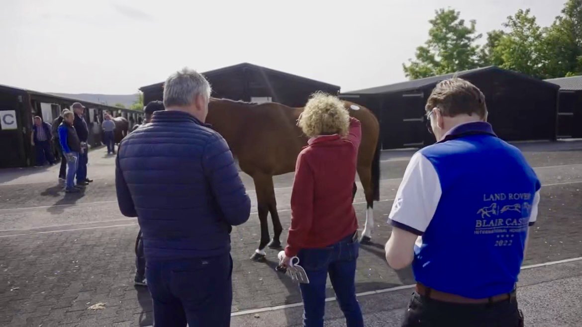 Claymore_Racing's tweet photo. ANNOUNCEMENT TO COME AT 5PM!

Claymore Racing have been at the Cheltenham May Sales on Thursday and Friday and we are glad to report that it was a success and the first Claymore Racing horse has been bought. Announcement to come at 5pm!

#ClaymoreRacing #AShareInTheWin https://t.co/yaIZvZxN0I