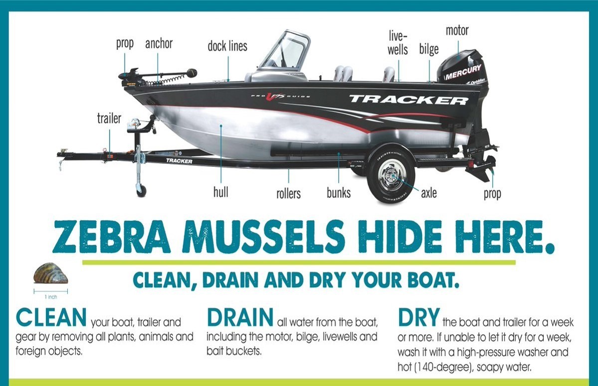 USACEHQ's tweet photo. With boating season right around the corner, we join
@USACE_SWD's @USACE_FortWorth and @TPWDparks in asking everyone to do their part in stopping the spread of #zebramussels. #InvasiveSpecies https://t.co/ljOMI4ZHym
