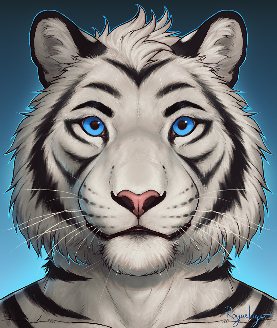 Portrait for @AoLun8