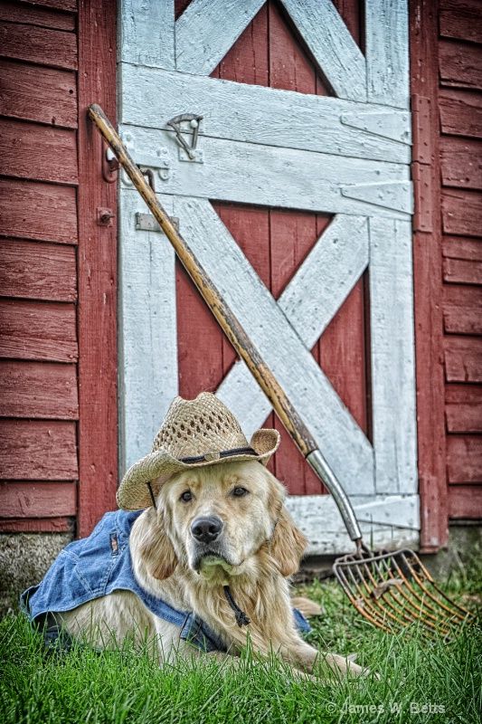 TheFarmDilf's tweet photo. https://t.co/UmmT9z5YJw