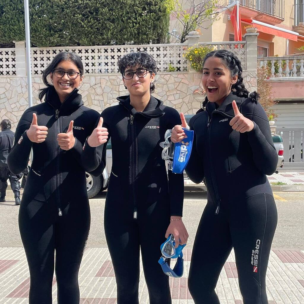 Dive o'clock PRO tweet media