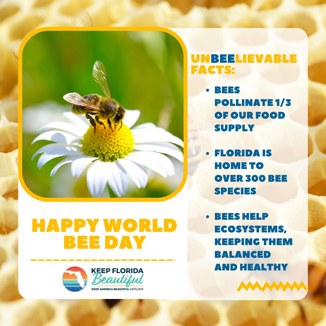 KeepFLBeautiful's tweet photo. BEE sweet and help save the 🐝🐝🐝 Plant native, bee-friendly flowers, support local beekeepers and avoid pesticides if you can!
#keepflbeautiful #worldbeeday #florida #nativeplants #pollinators https://t.co/mAHRj4k5us