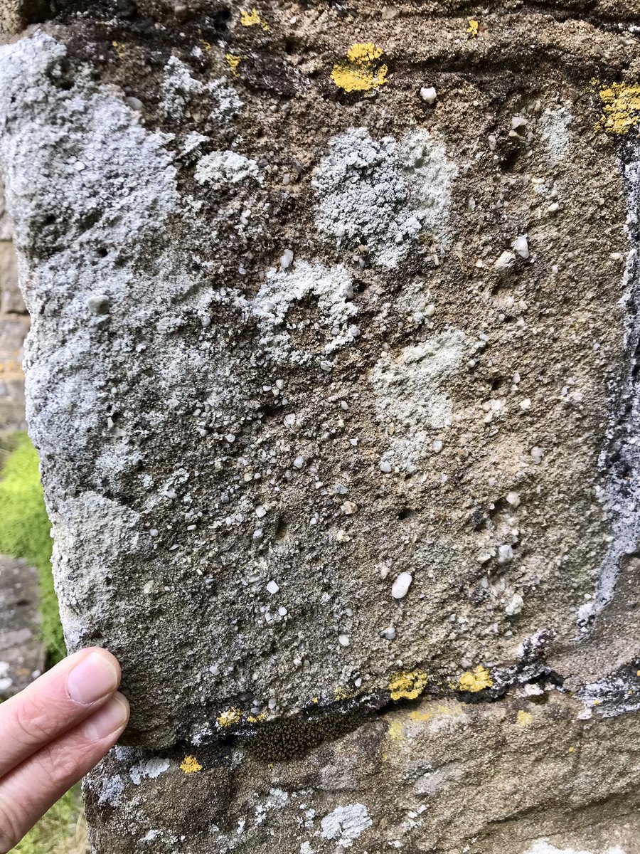 andy_p_h's tweet image. A glorious day for the #WelshStoneForum field trip to Laugharne and St Clears #geology #buildingstone Pebbly Brownstones, Senni Beds and a bit of Dundry and Doulting Stone