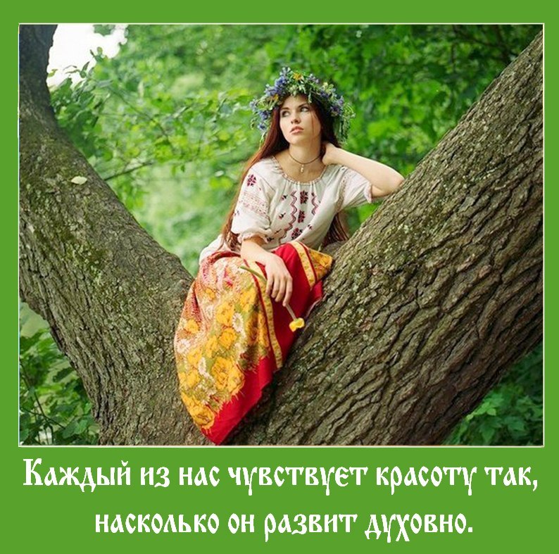 ЛЭД Новости (@pravda24) on Twitter photo 