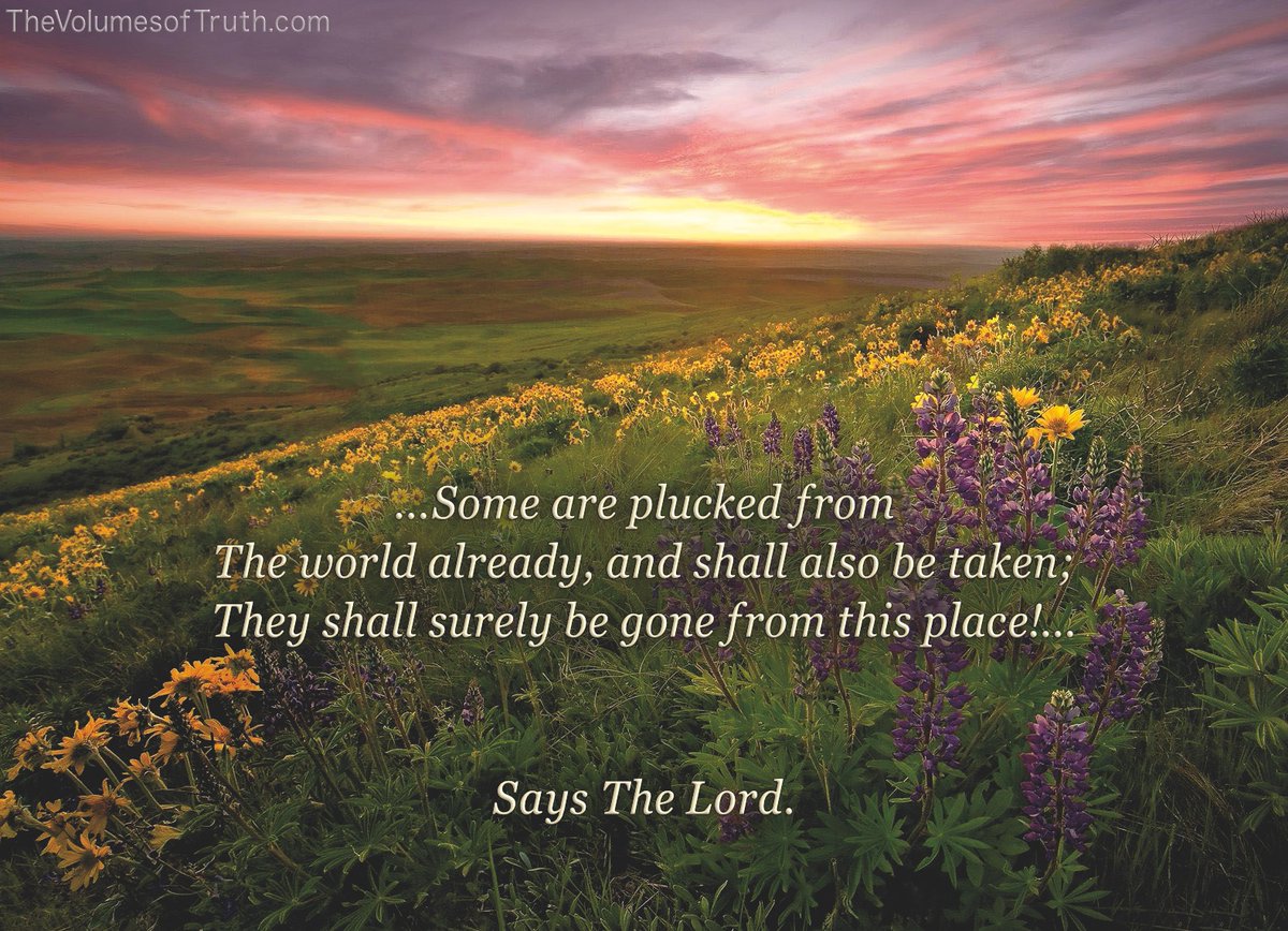 TheTimeHasCome7's tweet photo. ๐"The Harvest Is Separated, All Bundles Set in Their Places" - https://t.co/f9wAasDJJK
โถ Video: https://t.co/N1DTPYqIcE
#TheVolumesofTruth #Prophecy #YahuShua #Jesus #Truth #BrideofChrist #TrueBride #TheMessiah #GatheringUp #rapture #FirstHarvest #TheLordsComing #faith https://t.co/4S1QeFhXF4