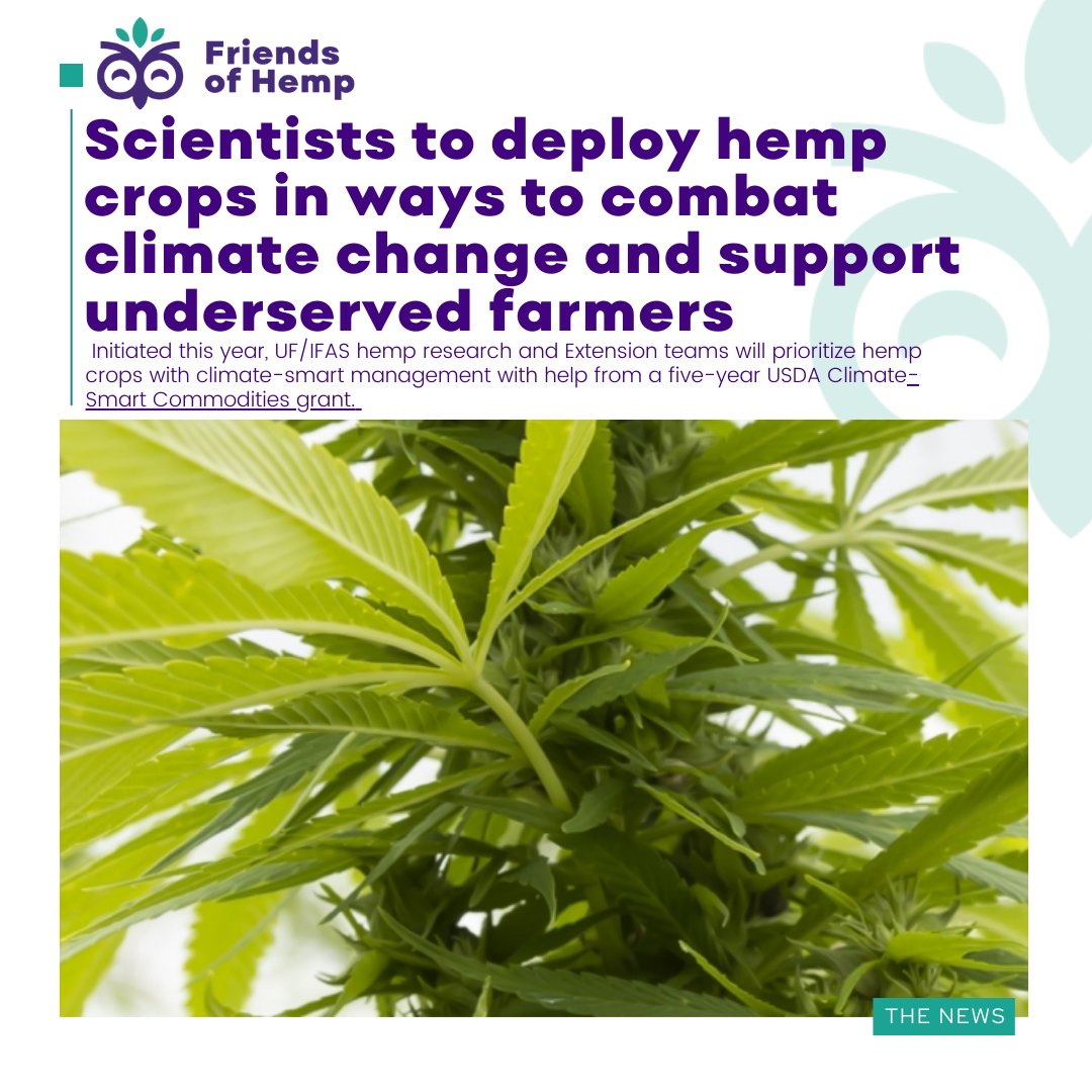 Friends of HEMP tweet media