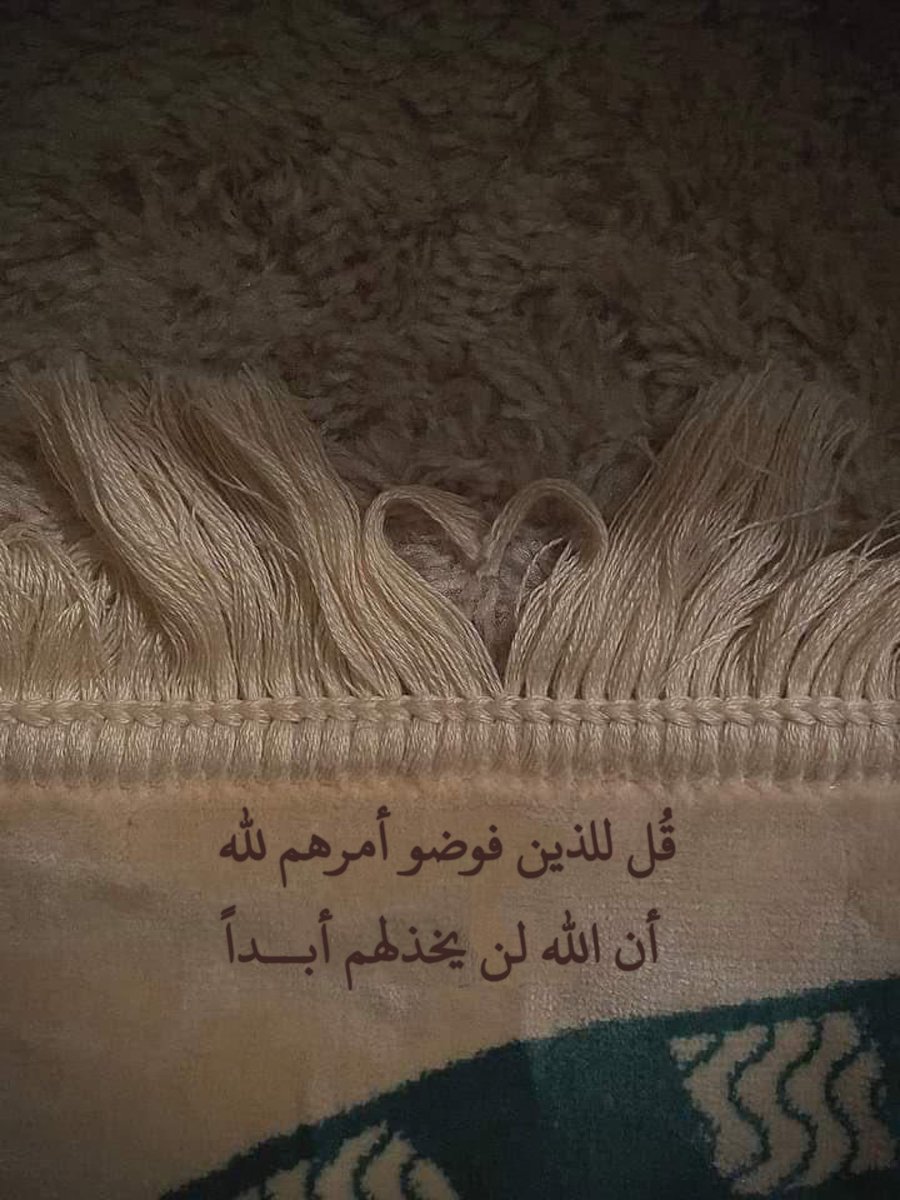 MoodOmar4's tweet photo. ولا تكون وحيداً أبداً مادام اللّٰه في قلبك
فاللّٰه يغنينا عن الدنيا ومافيها... 🌼 https://t.co/IxxjoQGyf9