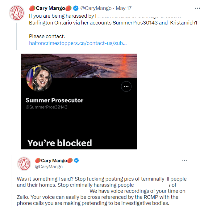 SummerPros30143's tweet photo. 🧵Attention Audrey Skoog (aka Cary Mango ). This Summer Prosecutor account is NOT operated by Krista. You and the rest of your vindictive tribe of bitter halfwits need to accept this fact and immediately cease and desist from communicating any further fallacious accusations. https://t.co/vB8fp2O3hN