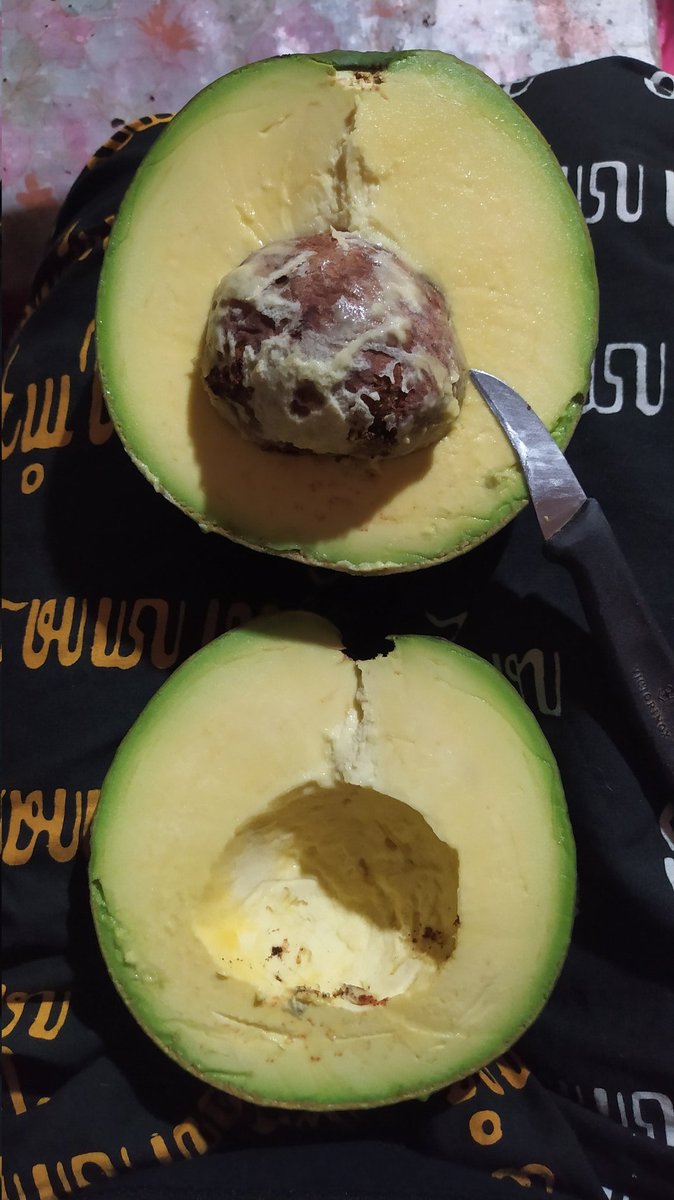 Bukan tentang hasil... Tapi memang banyak yg meragukan dan harus kubuktikan...  
 Bismillah .. Mangkat 250 wit

2018                                     2023