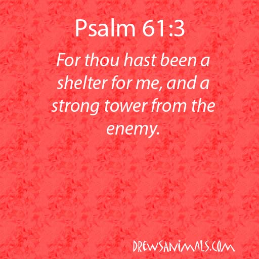 drewsanimals's tweet photo. Morning Verses https://t.co/Up0SidJAyQ