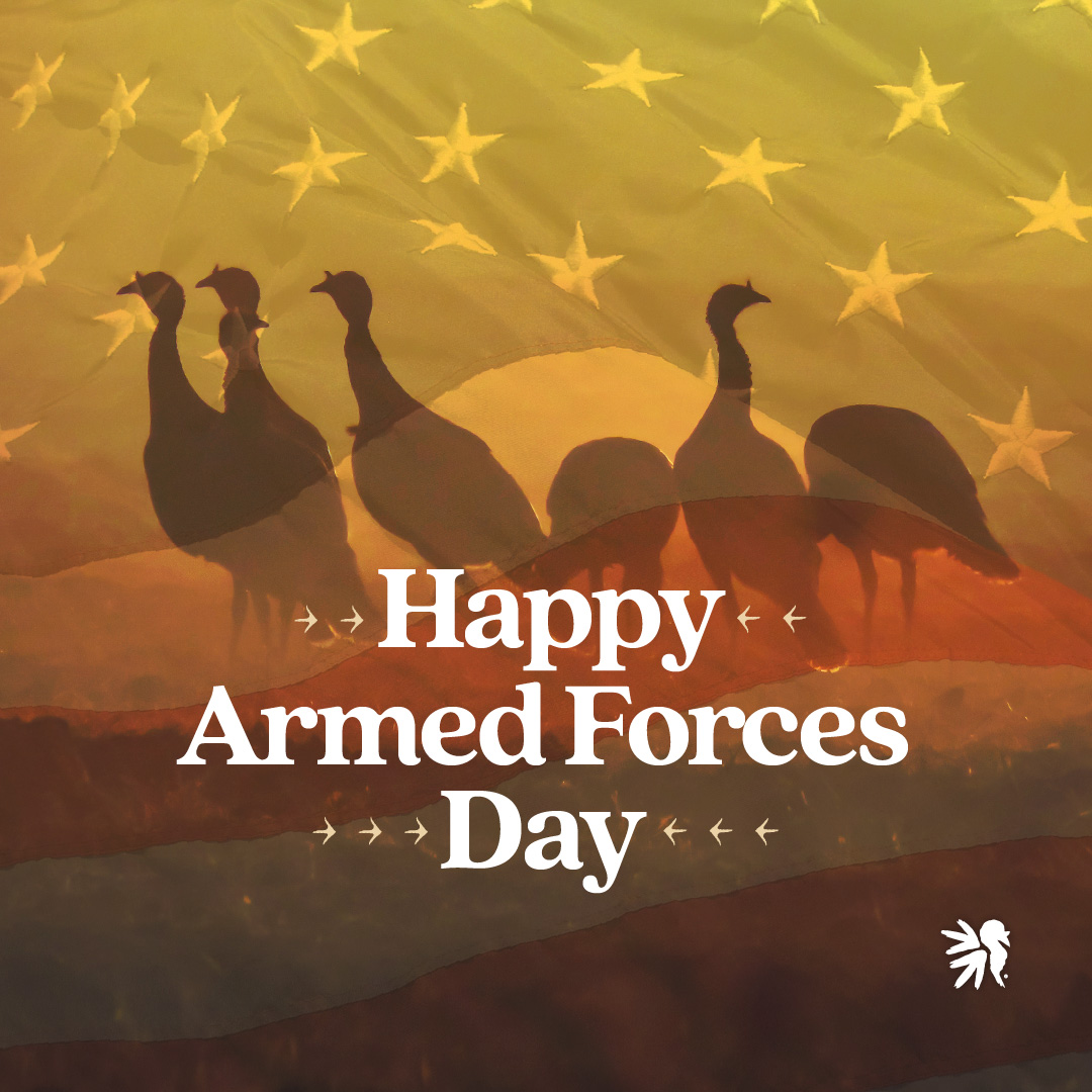 Happy Armed Forces Day! We are thankful for all the men and women currently serving our country! 🇺🇸