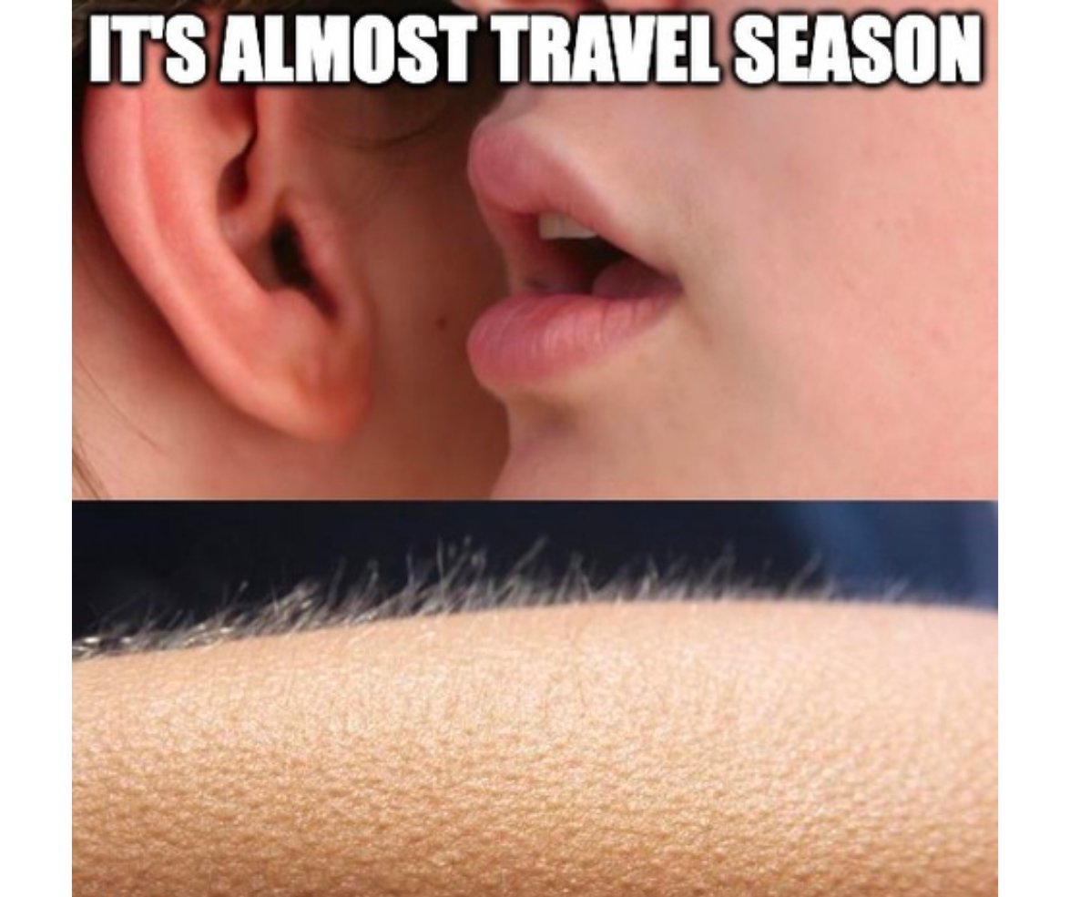 Happy travel season, folks! Where are you going? 

Subscribe to RV Hacks and Humor for more quality memery:
harvesthosts.com/resources/rv-h…

#RVMeme #rvmemes #HarvestHosts #Boondocking #RVing #RVLife  #VanLife #RVLifestyle #RVTravel #RVAdventure