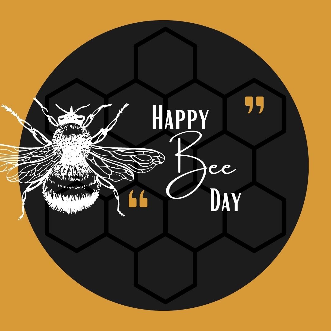 It's National Bee Day! Did you know that bees are vital to our ecosystem? It's no secret that for the past few years bee populations have been rapidly declining. How are you helping the bee population?