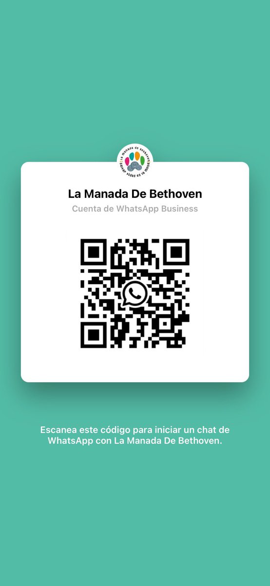 La Manada de Bethoven tweet media