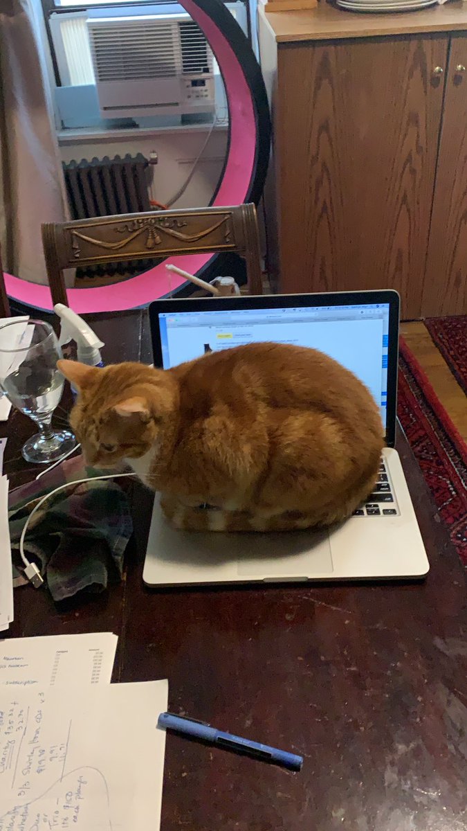 Kayelamity Jane 🇺🇦 tweet media