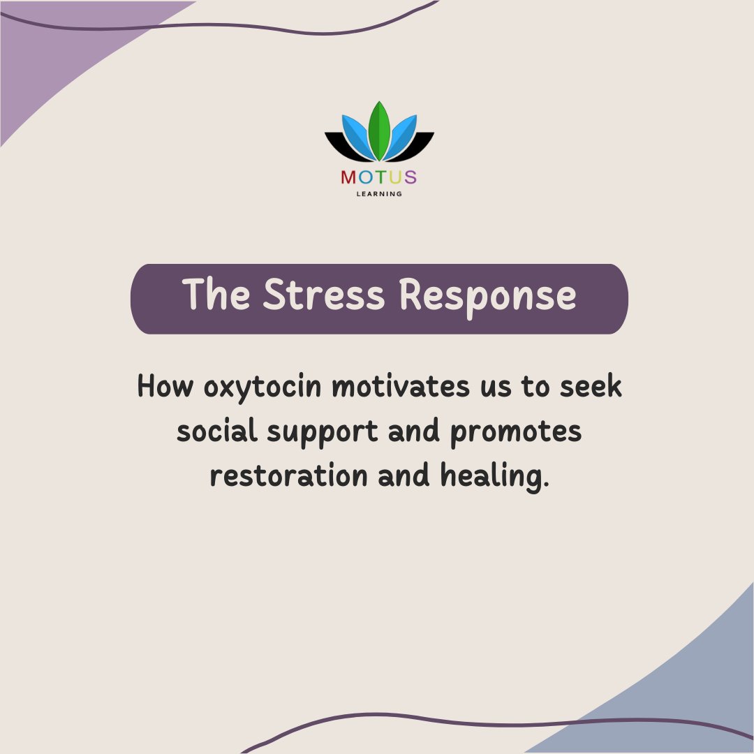 When oxytocin is released during the stress response, it is our body's way of encouraging us to seek social support and to tell someone how we feel, instead of bottling it up and dealing with it alone. See Instagram for full post: Motuslearning

#motusmovement