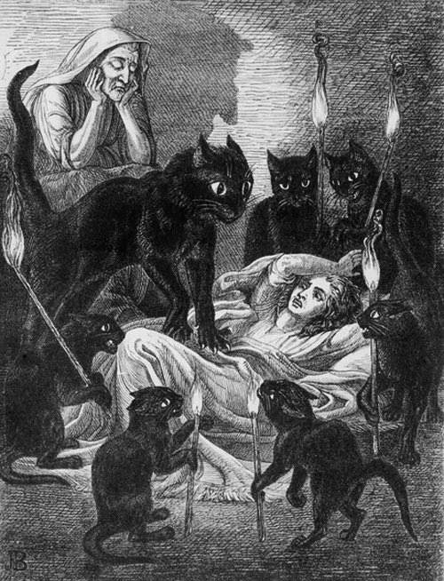 🐈‍⬛🐈‍⬛🔥🐈‍⬛
______________________ 
#BlackCat  #Caturday 
#witchcraft #witch