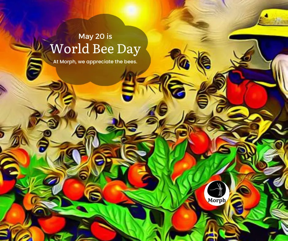 MorphBags's tweet photo. Where would we be without the bees? (Doing an awful lot of pollination by hand.)
Thanks, bees! https://t.co/y37SM2RR9X