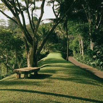 artindetails's tweet photo. sit with me 🌾🌿 https://t.co/rwn0gfb5jt