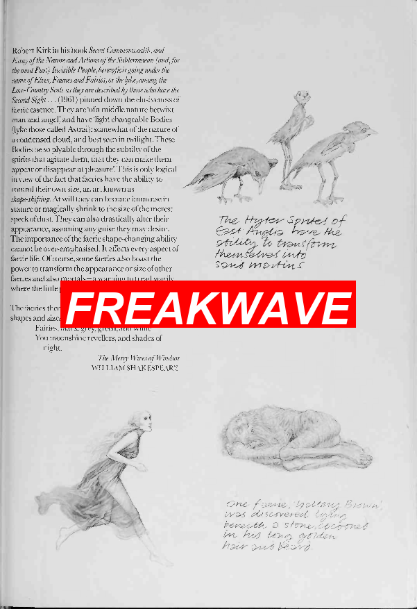 FREAKWAVE #BarbaraHolzer #JennyKreuger