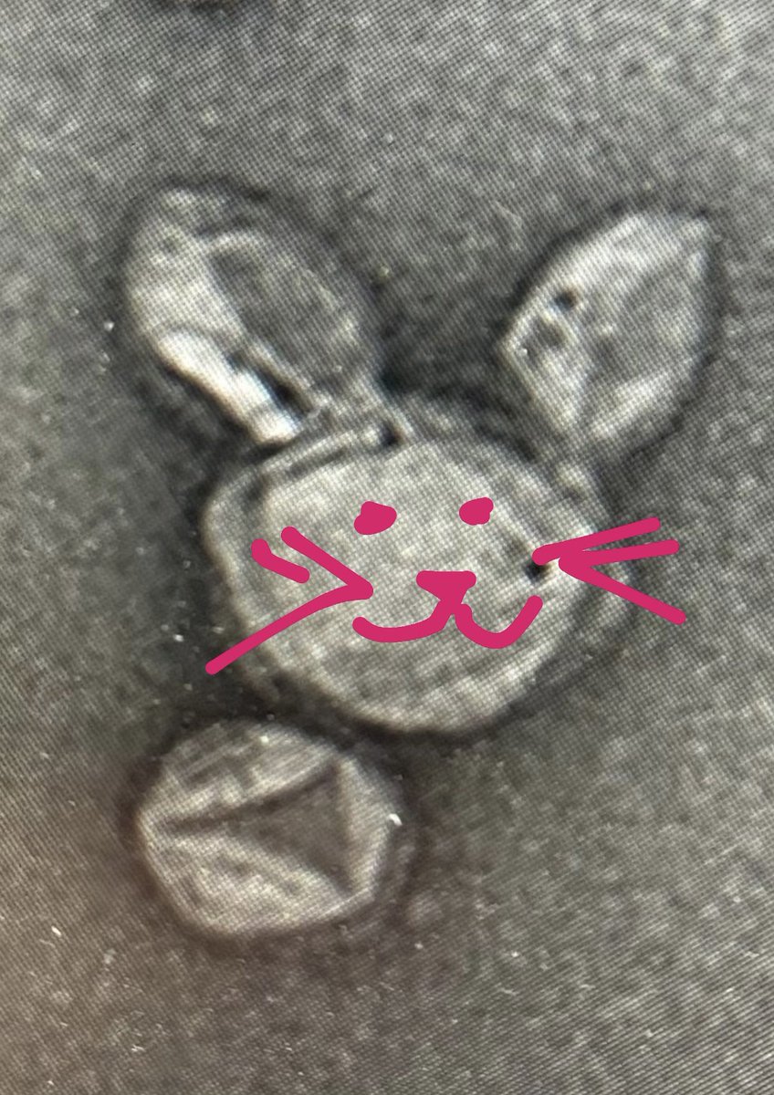 Just spotted the cutest bunny in the microscopic world 🐇🔬Turns out, it’s not a fluffy friend, but a bunch of #EVs playing a trick on us! They sure know how to ‘hop’timize their disguises! #MicroscopicMagic #EVsGoneWild having #exofun even though I’m not attending #ISEV2023