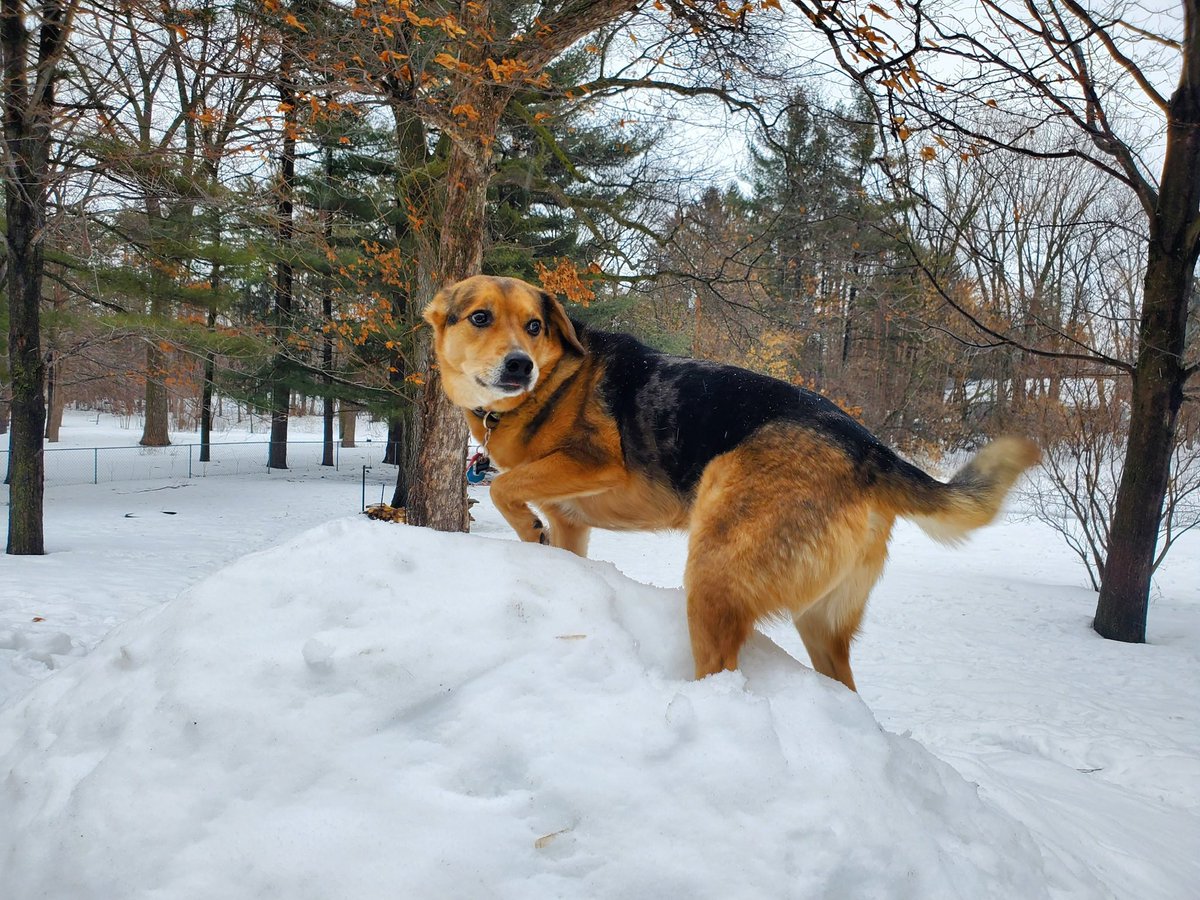 I am Lena’s mom tweet media