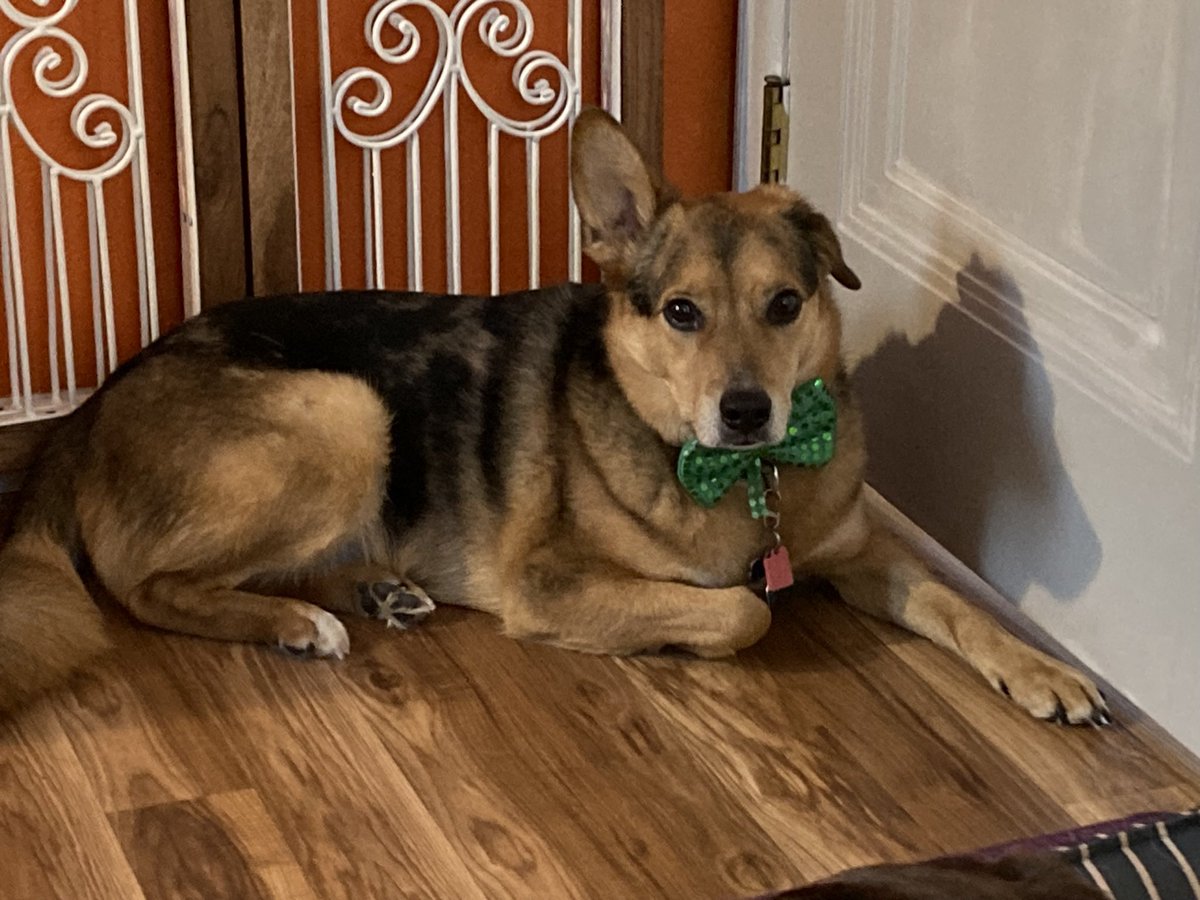 I am Lena’s mom tweet media